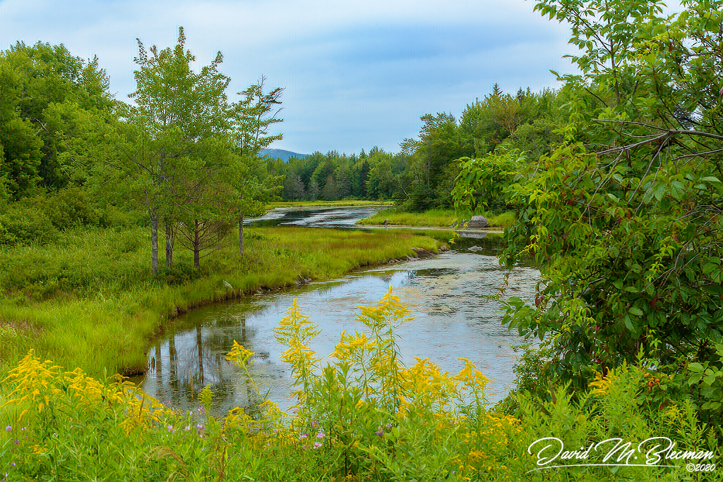 Maryland Countryside Photography By David M. Blecman