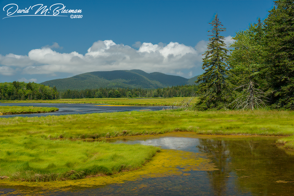 Picturesque shot of a stream of water near emerald hills 