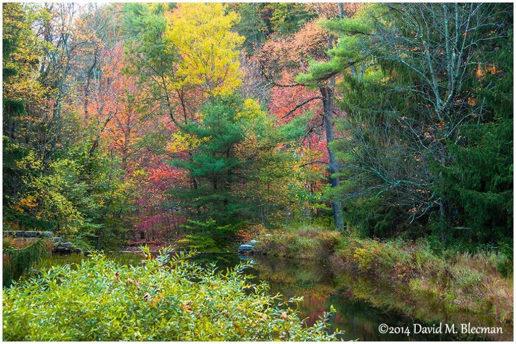 Fall Foliage Photography By David M. Blecman 