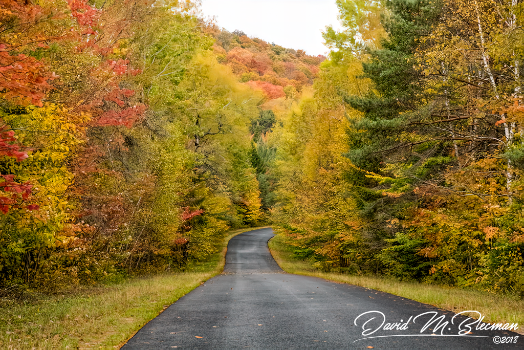 Leaves Changing On A Breathtaking Walking Trail  