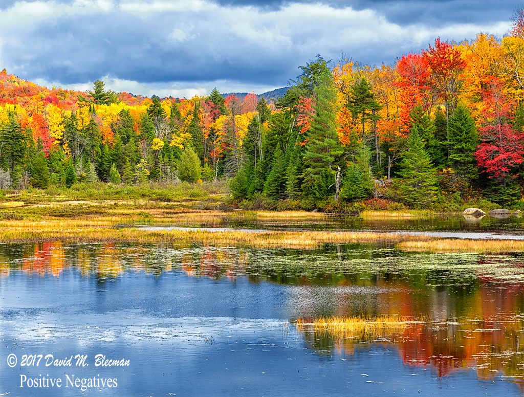 Scenic Autumn Lakeside Picture 